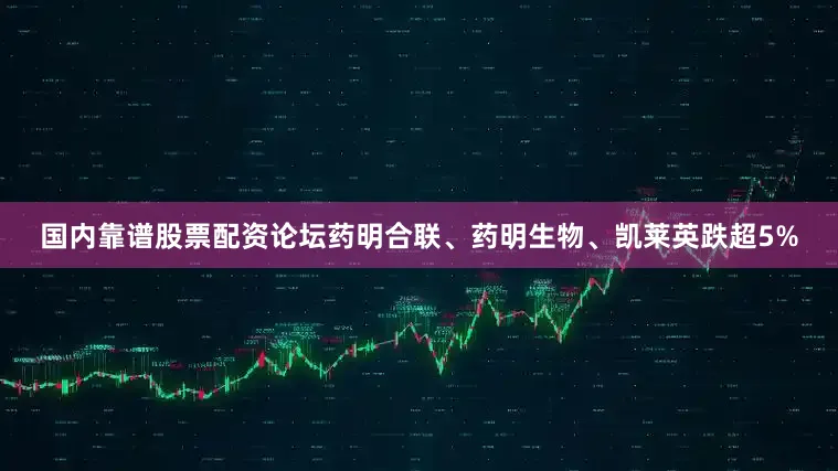 国内靠谱股票配资论坛药明合联、药明生物、凯莱英跌超5%